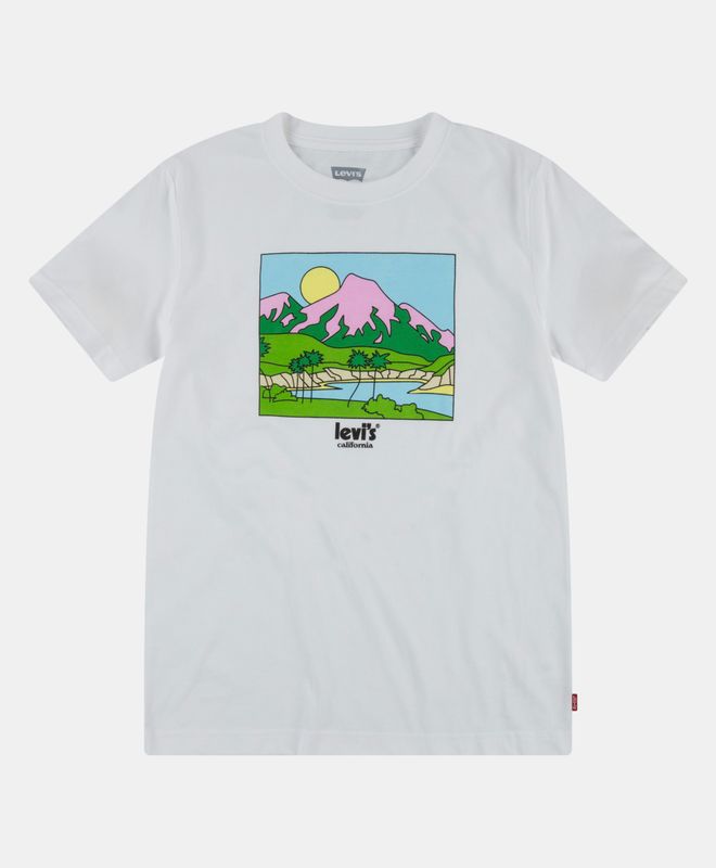 Levi's® Mountains Graphic Tee Boys 8-20