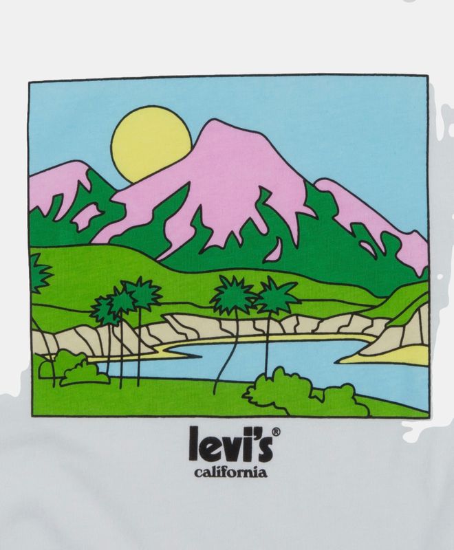 Levi's® Mountains Graphic Tee Boys 8-20