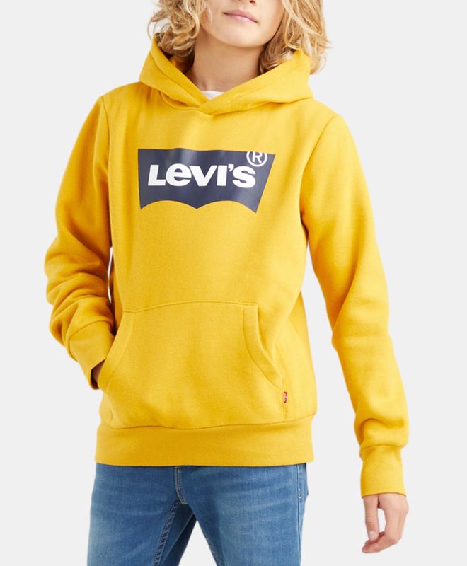 Levi's® Batwing Screenprint Hoodie boys 8-20