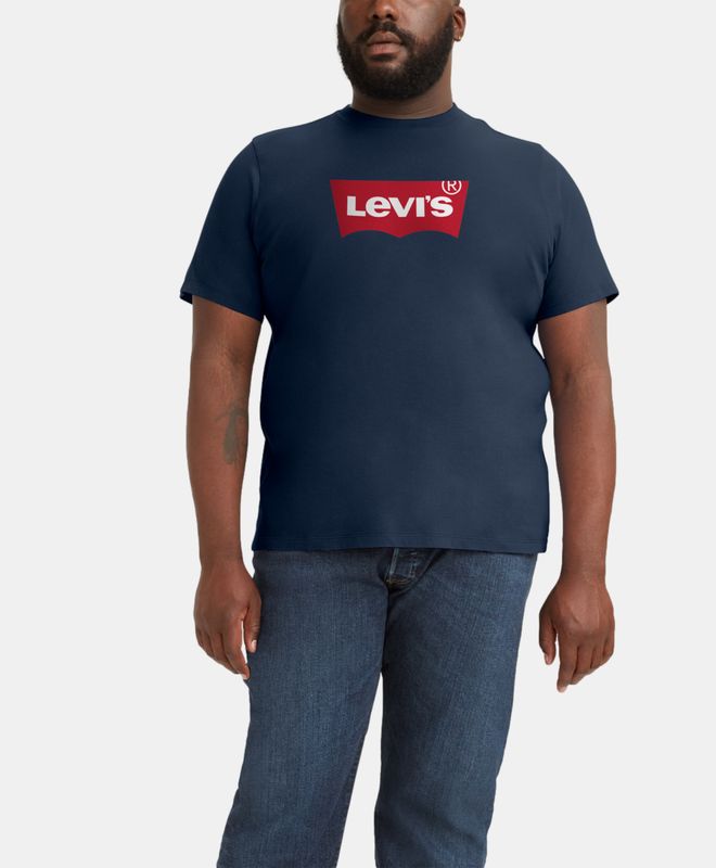 Levi's® Graphic T-Shirt (Big)