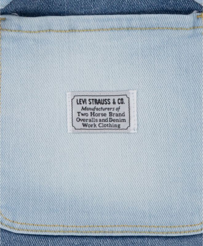 Jumper Shadeblocked Denim Toddlers (2-4) Levi's® Kids