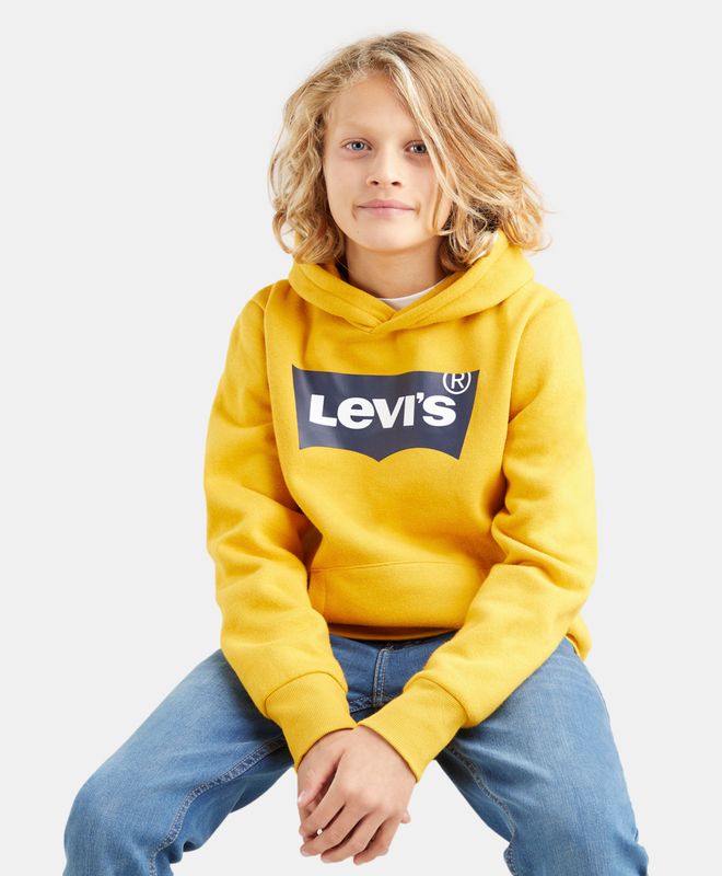 Levi's® Batwing Screenprint Hoodie boys 8-20